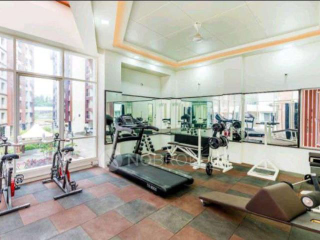 1 BHK Flat In Windsor County For Sale In Ambegaon Budruk