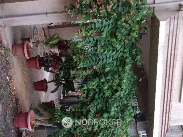 1 BHK House For Sale In Lohagaon