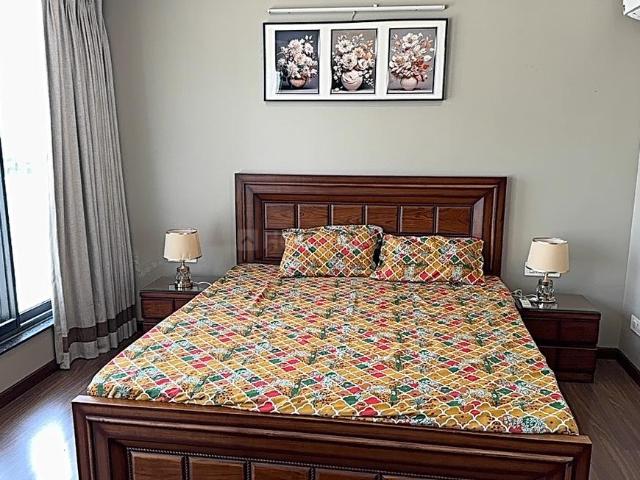 1 BHK Independent Builder Floor in DLF Phase 4 for rent Gurgaon. The reference number is 20144904