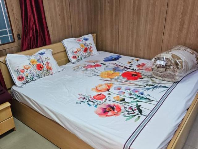1 BHK Independent Builder Floor in Gomti Nagar for rent Lucknow. The reference number is 20725248