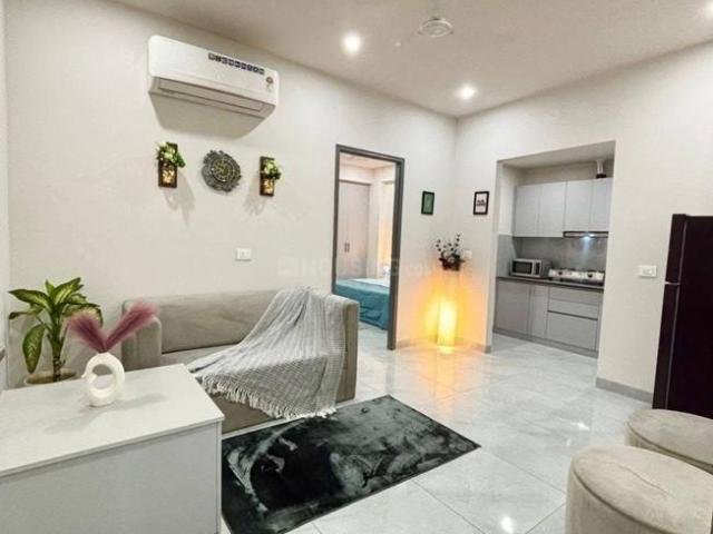1 BHK Independent Builder Floor in Sushant Lok Phase 1 for rent Gurgaon. The reference number is 19188015