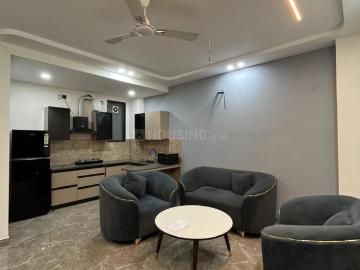 1 BHK Independent Builder Floor in Sushant Lok Phase 1 for rent Gurgaon. The reference number is 20228363