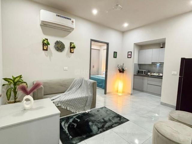 1 BHK Independent Builder Floor in Sector 43 for rent Gurgaon. The reference number is 19306334