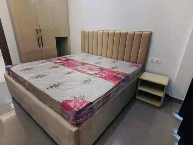 1 BHK Independent Builder Floor in Sector 43 for rent Gurgaon. The reference number is 20711242