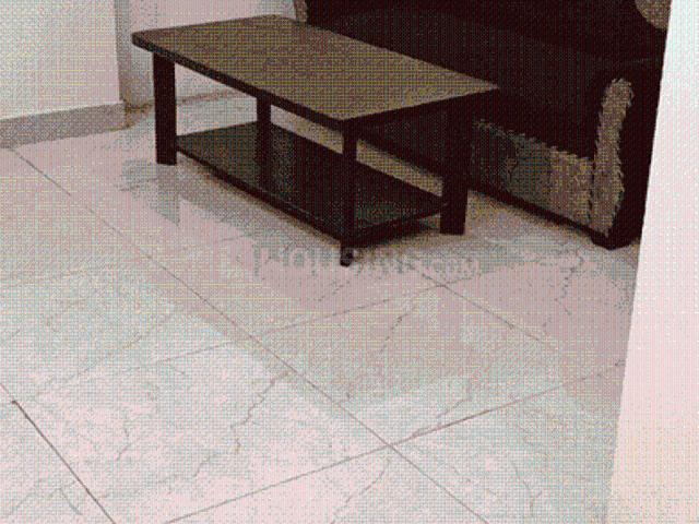 1 BHK Independent Builder Floor in Sector 43 for rent Gurgaon. The reference number is 21077889