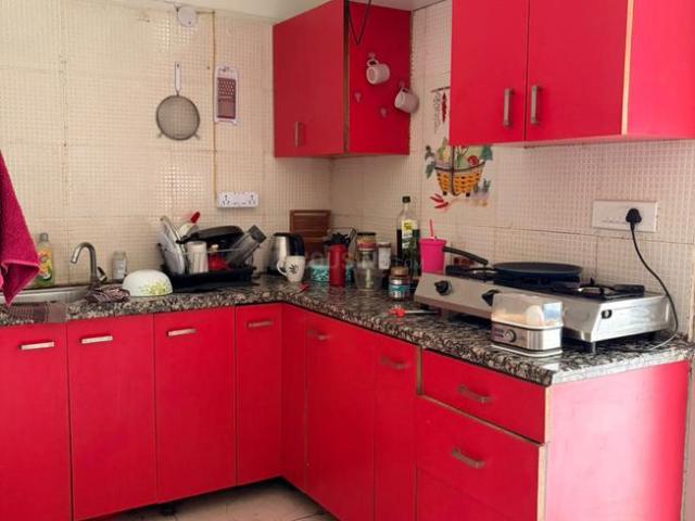 1 BHK Independent Builder Floor in Sector 45 for rent Gurgaon. The reference number is 20524545