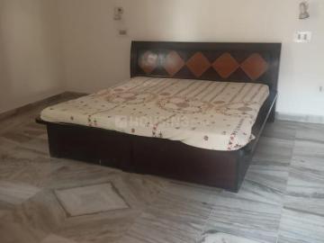 1 BHK Independent Builder Floor in Sector 9 for rent Panchkula. The reference number is 20417965