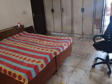 1 BHK Independent Builder Floor in Sector 10 for rent Panchkula. The reference number is 20375071