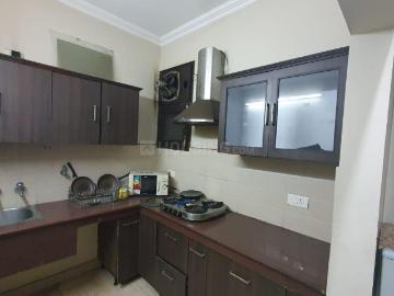 1 BHK Independent Builder Floor in Sector 12A for rent Panchkula. The reference number is 15985932