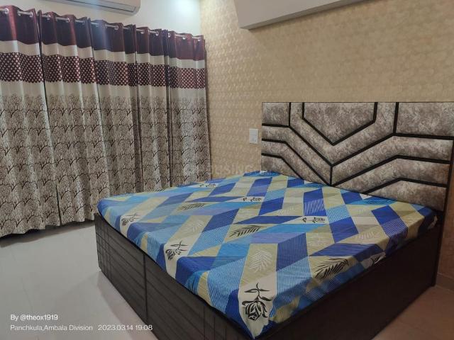 1 BHK Independent Builder Floor in Sector 16 for rent Panchkula. The reference number is 20629118