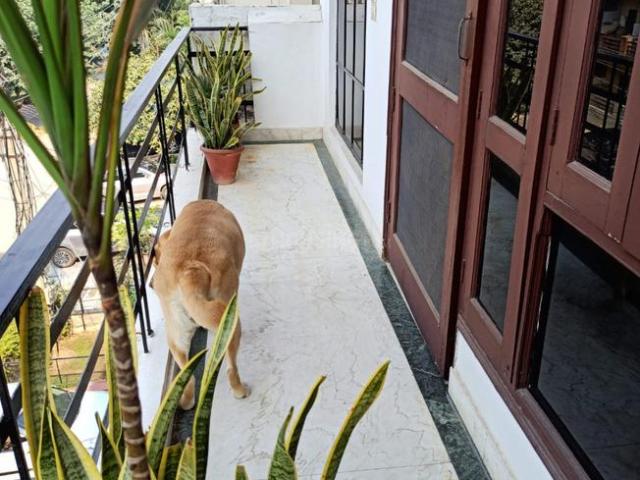 1 BHK Independent Builder Floor in Sector 23 for rent Gurgaon. The reference number is 18315731