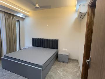 1 BHK Independent Builder Floor in Sector 38 for rent Gurgaon. The reference number is 20546849