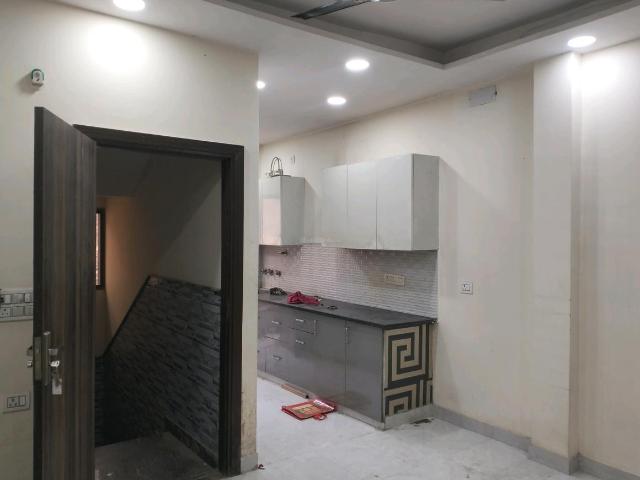 1 BHK Independent Builder Floor in Shalimar Bagh for rent New Delhi. The reference number is 19146838