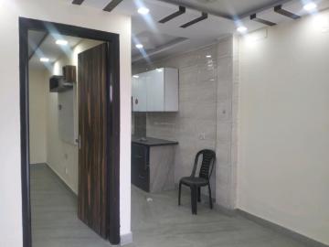 1 BHK Independent Builder Floor in Shalimar Bagh for rent New Delhi. The reference number is 19764166