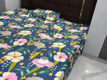 1 BHK Independent Builder Floor in Shalimar Bagh for rent New Delhi. The reference number is 20078028