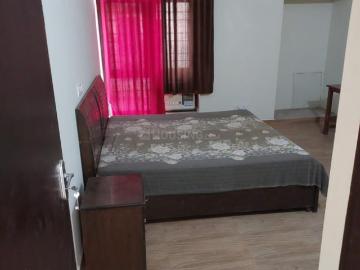 1 BHK Independent Builder Floor in Sigma III for rent Greater Noida. The reference number is 17064096