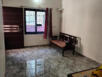 Wadi Vadodara, Vadodara Gujarat, Anand District, Gujarat