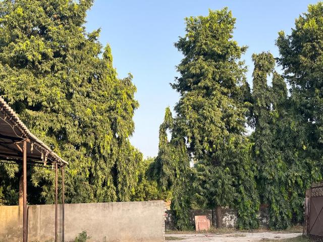 1 BHK Independent House in Asola for rent New Delhi. The reference number is 21371436