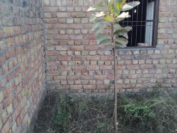 1 BHK Independent House in Behror for rent Neemrana. The reference number is 6843313
