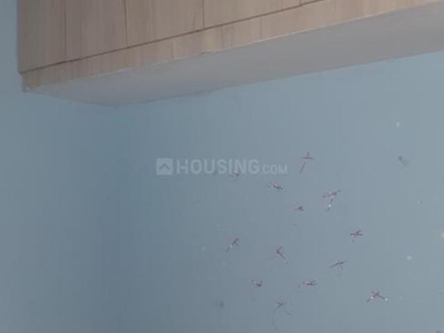 1 BHK Independent House in Forest Park for rent Bhubaneswar. The reference number is 21012207