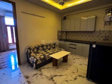South Delhi, Noida, Gautam Buddha Nagar District, Delhi