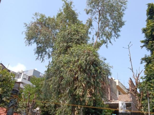 1 BHK Independent House in Janakpuri for rent New Delhi. The reference number is 21188531