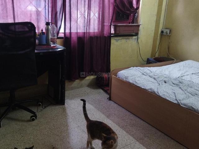 1 BHK Independent House in Kothrud for rent Pune. The reference number is 20581927