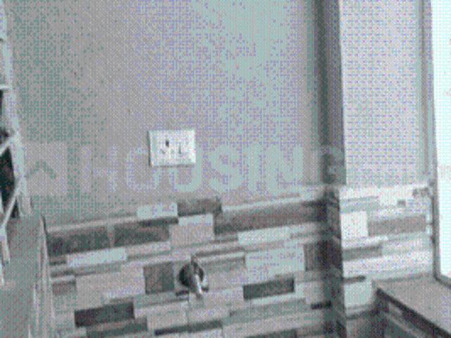 1 BHK Independent House in Lohegaon for rent Pune. The reference number is 21297645