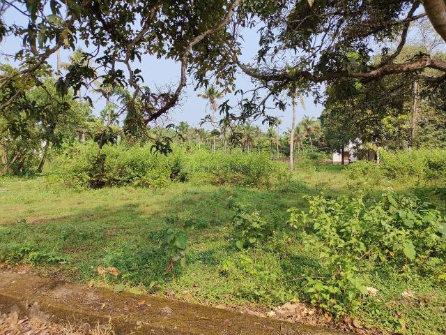 1 BHK Independent House in Nedumbassery for rent Aluva. The reference number is 10875198