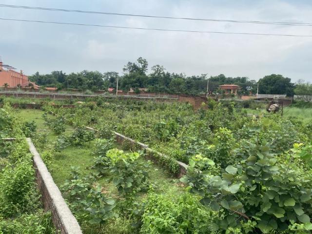 1 BHK Independent House in Purisili for rent Jamshedpur. The reference number is 20616432