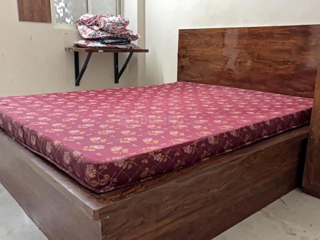1 BHK Independent House in Scheme No 94C for rent Indore. The reference number is 19499716