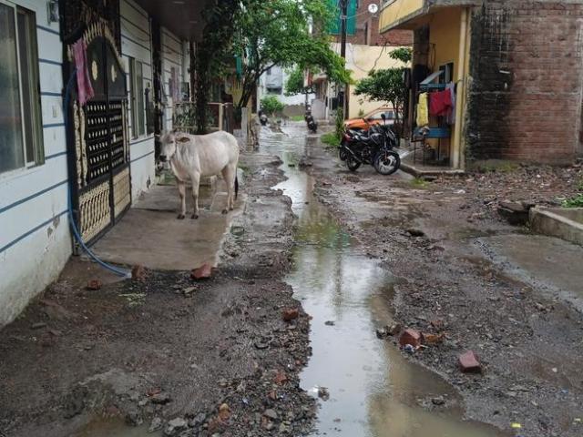 1 BHK Independent House in Samardha for resale Bhopal. The reference number is 20645484