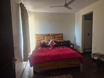 1 BHK Independent House in Sahastradhara Road for rent Dehradun. The reference number is 20429466