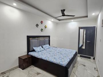 1 BHK Independent House in Saket for rent New Delhi. The reference number is 20422706