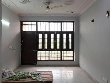 Hazipur Noida, Noida, Gautam Buddha Nagar District, Delhi