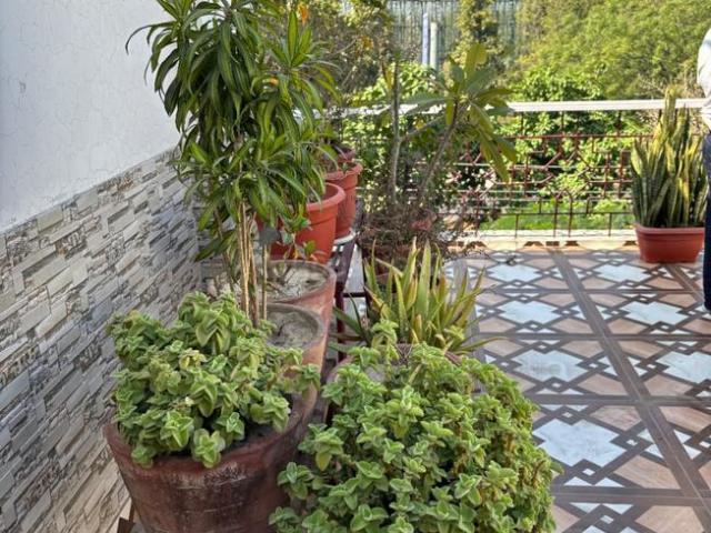 1 BHK Independent House in Sector 26 for rent Noida. The reference number is 20765458