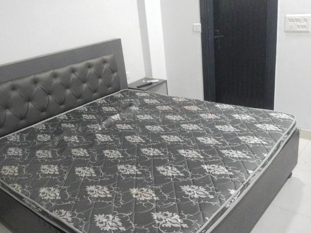 1 BHK Independent House in Sector 43 for rent Gurgaon. The reference number is 18958611