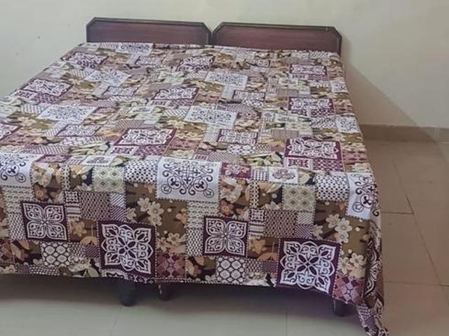 1 BHK Independent House in Sector 55 for rent Mohali. The reference number is 18047526