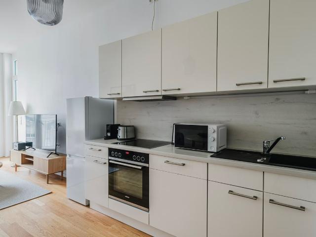 1 BR | Mitte, elevator, nr Alexanderplatz, Berlin Amsterdam Apartments for Rent