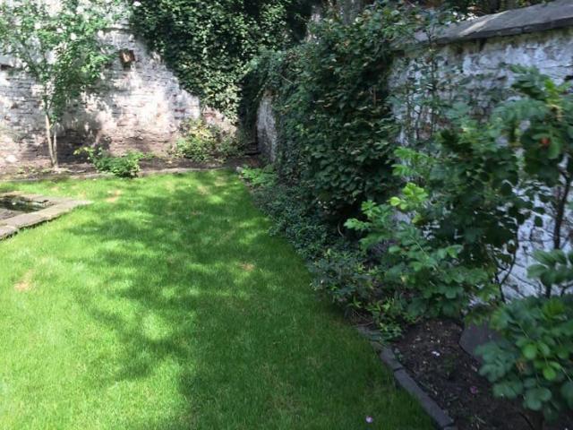 1 BR garden appt