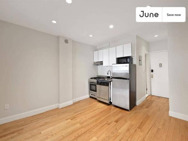 1 BR in New York City