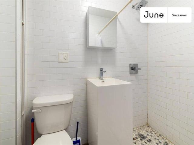 1 BR in New York City
