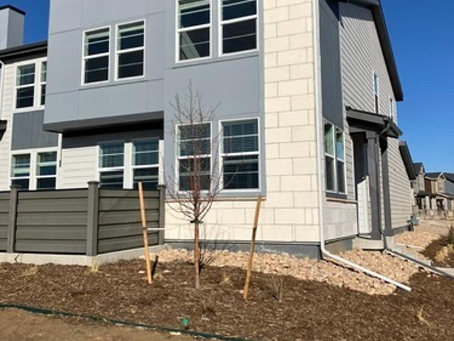 1 BR, 1.5 BA Apartment 6656 Argonne Street, Unit Northwest Room, Denver, CO 80249