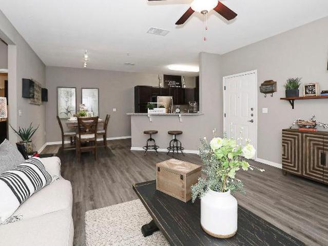 1 Br, 1 bath, Apartment 1031 FM 2931