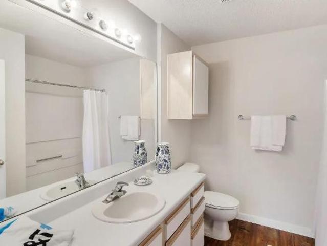 1 Br, 1 bath, Apartment 131 Woodchase Park Dr