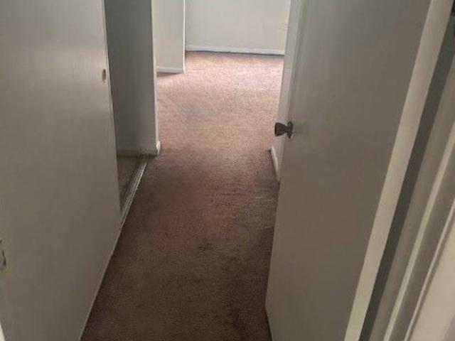 1 Br, 1 bath, Apartment 1505 North West Street