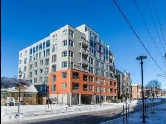 1 Br, 1 bath, Apartment 321 Spruce Street