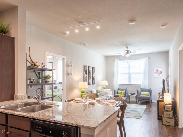 1 BR, 1 BA Apartment 14017 FM 969, Austin, TX 78724