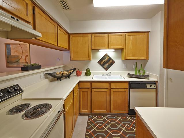 1 BR, 1 BA Apartment 14041 Preston Road Unit 1 0805, Dallas, TX 75254