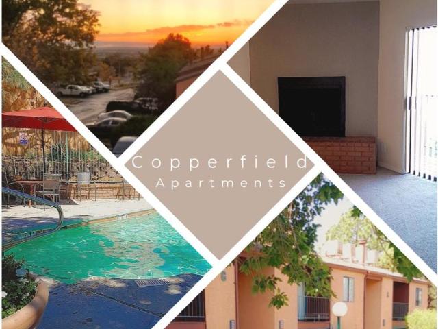 1 BR, 1 BA Apartment 14225 Copper Avenue Northeast Unit 711, Albuquerque, NM 87123